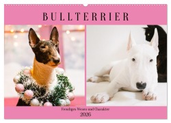 Bullterrier. Freudiges Wesen und Charakter (Wandkalender 2026 DIN A2 quer), CALVENDO Monatskalender - Rose Hurley
