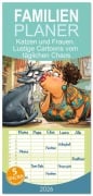 Cover-Bild zum Titel 'Familienplaner 2026 - Katzen und Frauen. Lustige Cartoons vom täglichen Chaos mit 5 Spalten (Wandkalender, 21 x 45 cm) CALVENDO' von 'Rose Hurley'