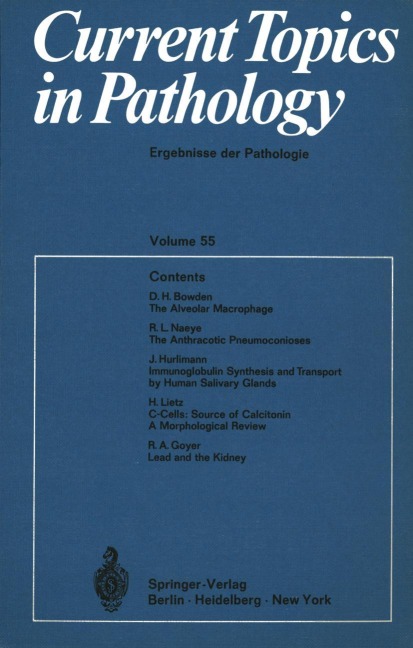 Current Topics in Pathology / Ergebnisse der Pathologie - H. -W. Altmann, Chr. Hedinger, S. Iijima, W. H. Kirsten, I. Klatzo