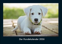 Cover-Bild zum Titel 'Der Hundekalender 2026 Fotokalender DIN A4' von 'Tobias Becker'