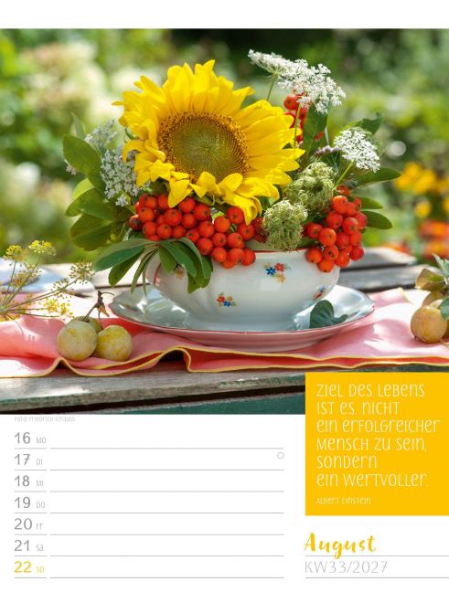 InsideView 37