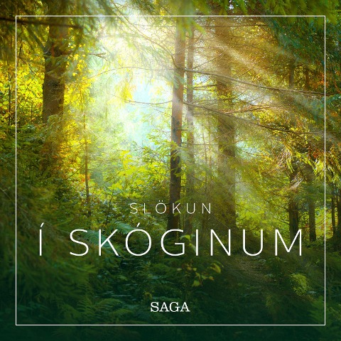 Slökun - Í skóginum - Rasmus Broe