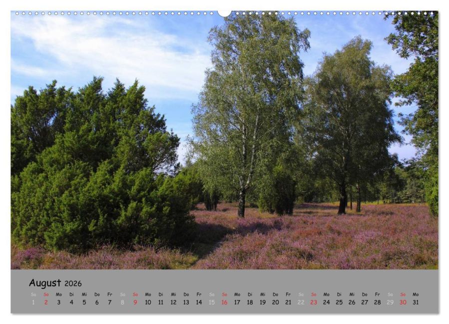 InsideView 13