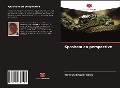 Cover-Bild zum Titel 'Kpasham en perspective' von 'Yuniyus Dengle Giroh'