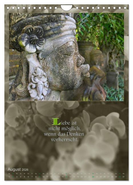 InsideView 13
