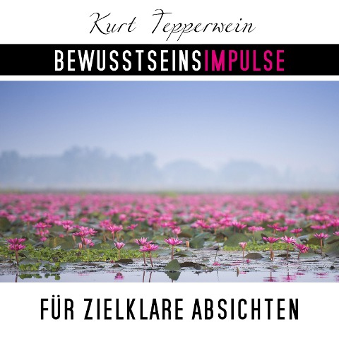 Bewusstseinsimpulse für zielklare Absichten - Kurt Tepperwein