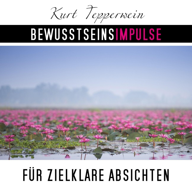 Bewusstseinsimpulse für zielklare Absichten - Kurt Tepperwein
