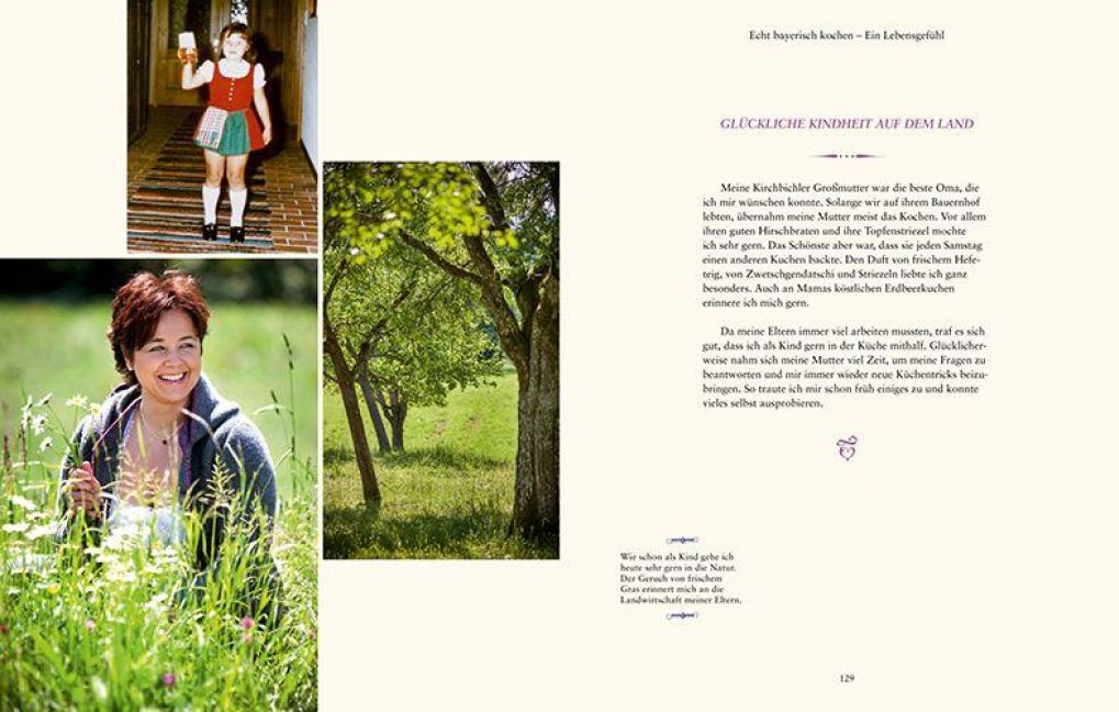 InsideView 4