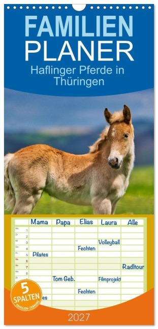 Familienplaner 2027 - Haflinger Pferde in Thüringen mit 5 Spalten (Wandkalender, 21 x 45 cm) CALVENDO - Torsten Irmer