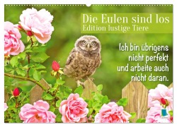 Cover-Bild zum Titel 'Die Eulen sind los: Edition lustige Tiere (Wandkalender 2026 DIN A2 quer), CALVENDO Monatskalender' von 'Calvendo Calvendo'
