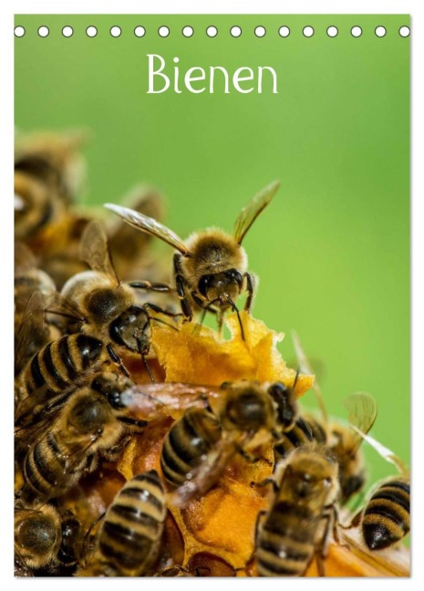 Bienen (Tischkalender 2026 DIN A5 hoch), CALVENDO Monatskalender - Mark Bangert