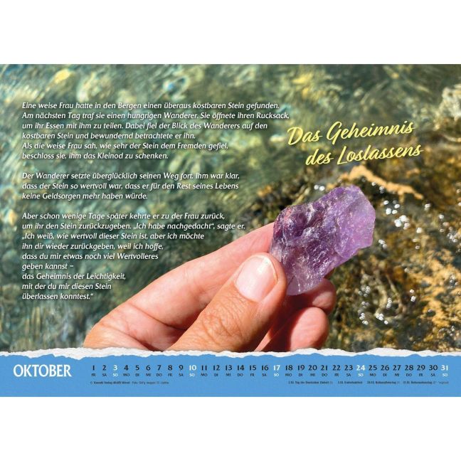 InsideView 8