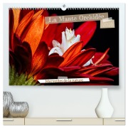 La Mante Orchidée (Calendrier mural 2026 DIN A2 vertical) calendrier de bureau - Roland Brack
