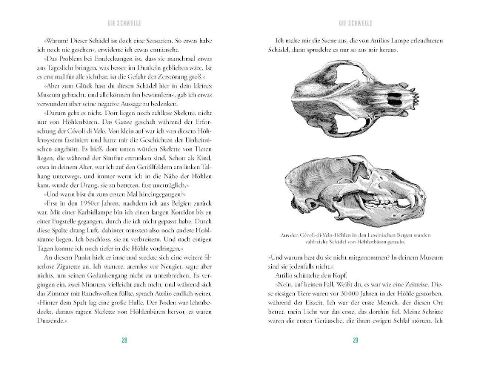 InsideView 6