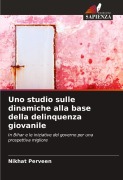 Cover-Bild zum Titel 'Uno studio sulle dinamiche alla base della delinquenza giovanile' von 'Nikhat Perveen'