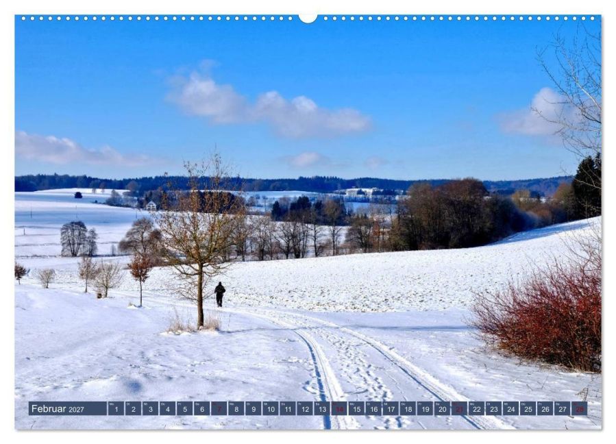 InsideView 6