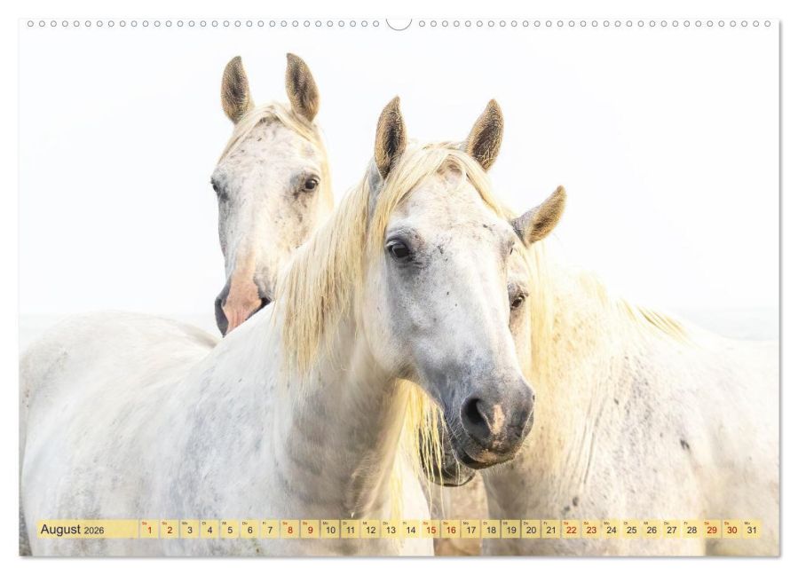 InsideView 12