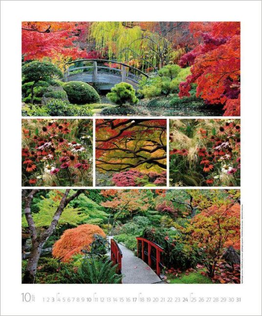 InsideView 10