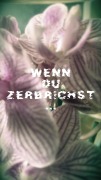 Cover-Bild zum Titel 'Wenn du zerbrichst' von 'Franziska Wild'