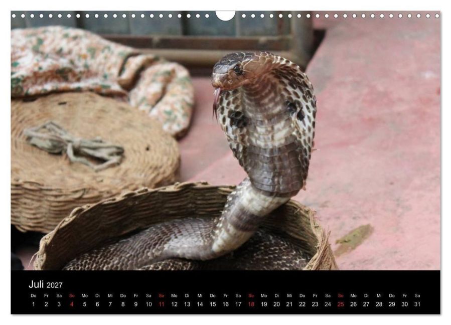 InsideView 12