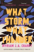 Cover-Bild zum Titel 'What Storm, What Thunder' von 'Myriam J A Chancy'