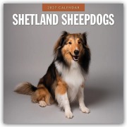 Cover-Bild zum Titel 'Shetland Sheepdogs - Sheltie 2027 - 16-Monatskalender' von 'Robin Red'