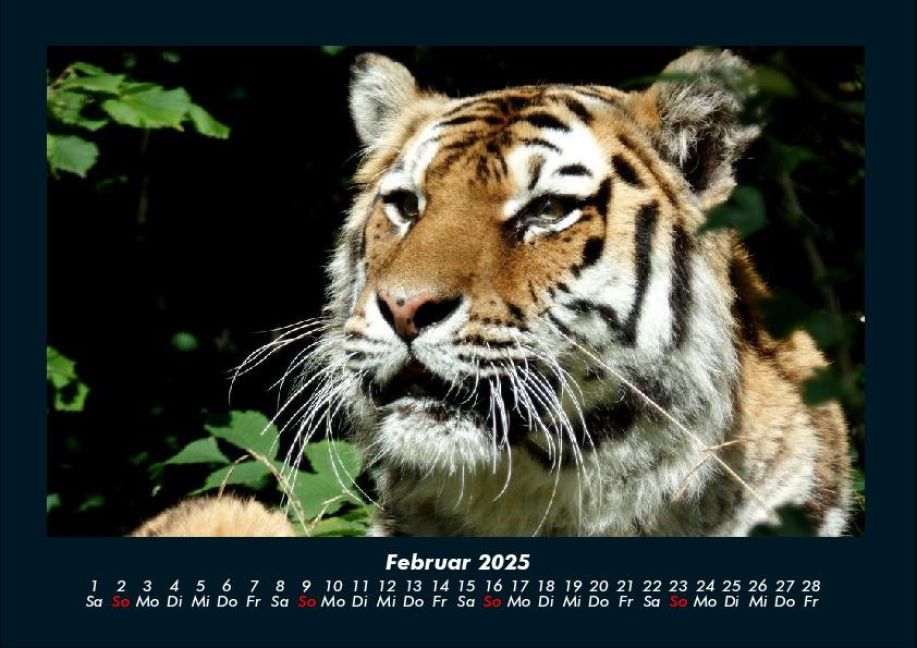 InsideView 6