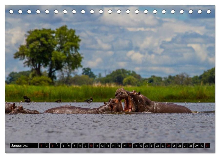 InsideView 6