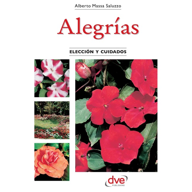 Alegrías - Alberto Massa Saluzzo