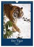 Der Tiger - ein gestreifter Jäger (Wandkalender 2025 DIN A4 hoch), CALVENDO Monatskalender - Cloudtail The Snow Leopard