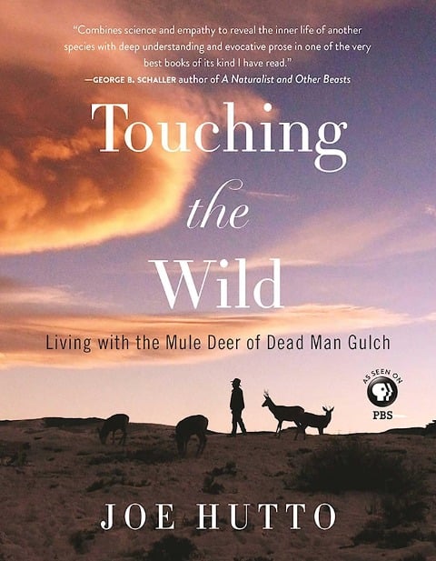 Touching the Wild - Joe Hutto
