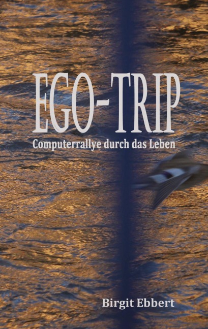 Ego-Trip - Birgit Ebbert