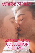 Gay Romance Collection Volume 3: 3 Sweet Gay Contemporary Romance Novellas (The English Gay Contemporary Romance Books) - Connor Whiteley