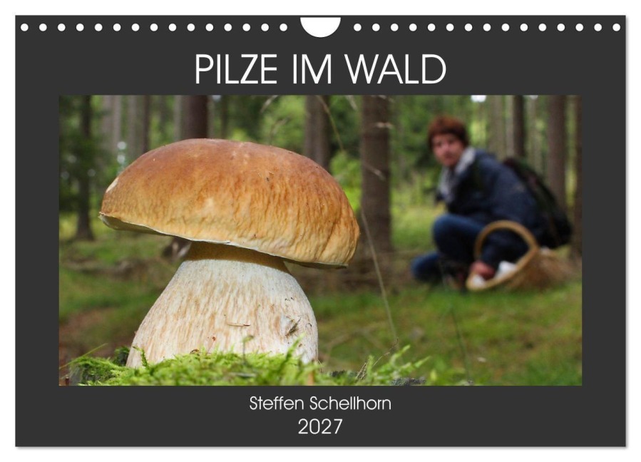 PILZE IM WALD (Wandkalender 2027 DIN A4 quer), CALVENDO Monatskalender - Steffen Schellhorn