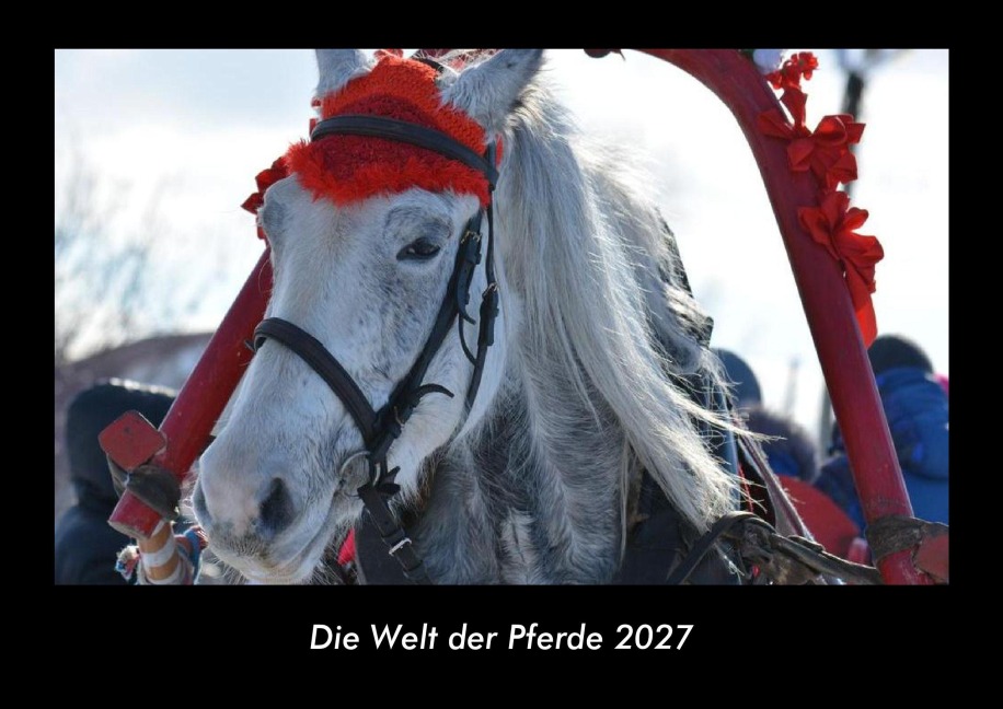 Die Welt der Pferde 2027 Fotokalender DIN A3 - Tobias Becker