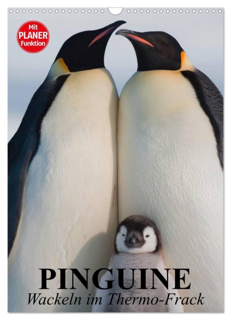 Pinguine. Wackeln im Thermo-Frack (Wandkalender 2026 DIN A3 hoch), CALVENDO Monatskalender - Elisabeth Stanzer