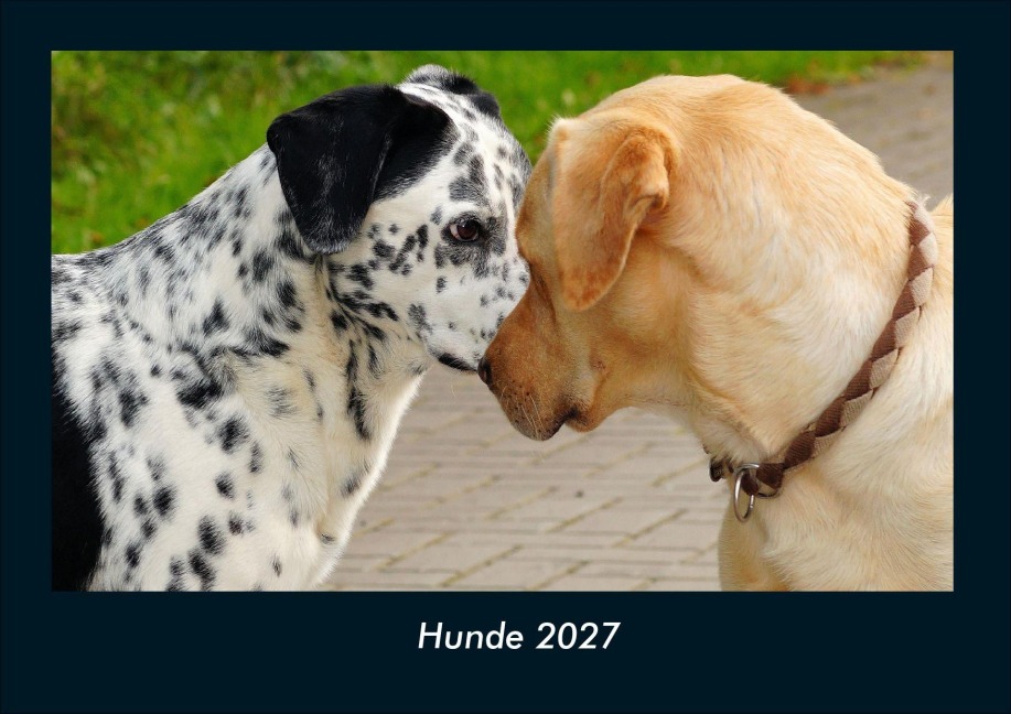 Hunde 2027 Fotokalender DIN A4 - Tobias Schmitt, Kevin Heber