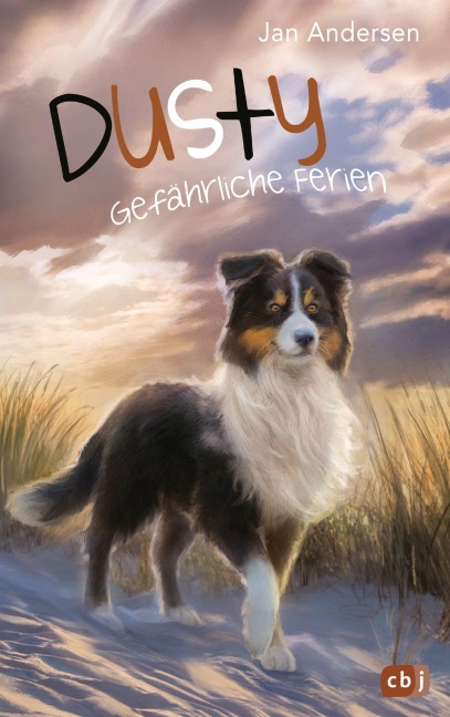 Dusty - Gefährliche Ferien - Jan Andersen