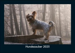 Cover-Bild zum Titel 'Hundezauber 2025 Fotokalender DIN A5' von 'Tobias Becker'