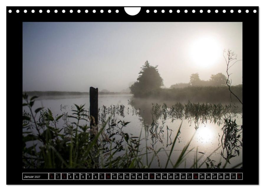 InsideView 6