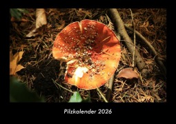 Cover-Bild zum Titel 'Pilzkalender 2026 Fotokalender DIN A3' von 'Tobias Becker'