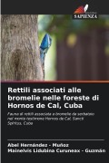 Cover-Bild zum Titel 'Rettili associati alle bromelie nelle foreste di Hornos de Cal, Cuba' von 'Abel Hernandez - Muñoz, Mainelvis Lidubina Curuneax - Guzmán'