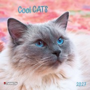 Cover-Bild zum Titel 'Cool Cats 2027' von ''