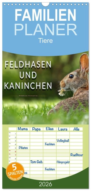 Familienplaner 2026 - Feldhasen und Kaninchen mit 5 Spalten (Wandkalender, 21 x 45 cm) CALVENDO - Peter Roder