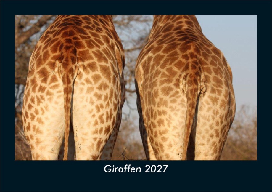 Giraffen 2027 Fotokalender DIN A5 - Tobias Schmitt, Kevin Heber