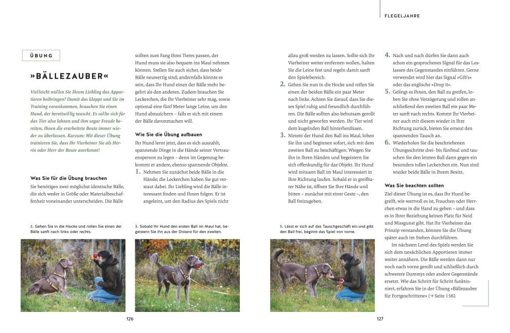 InsideView 7