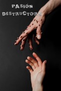 Cover-Bild zum Titel 'Pasión Destructora' von 'Rafael Lima, Rafael Lima'