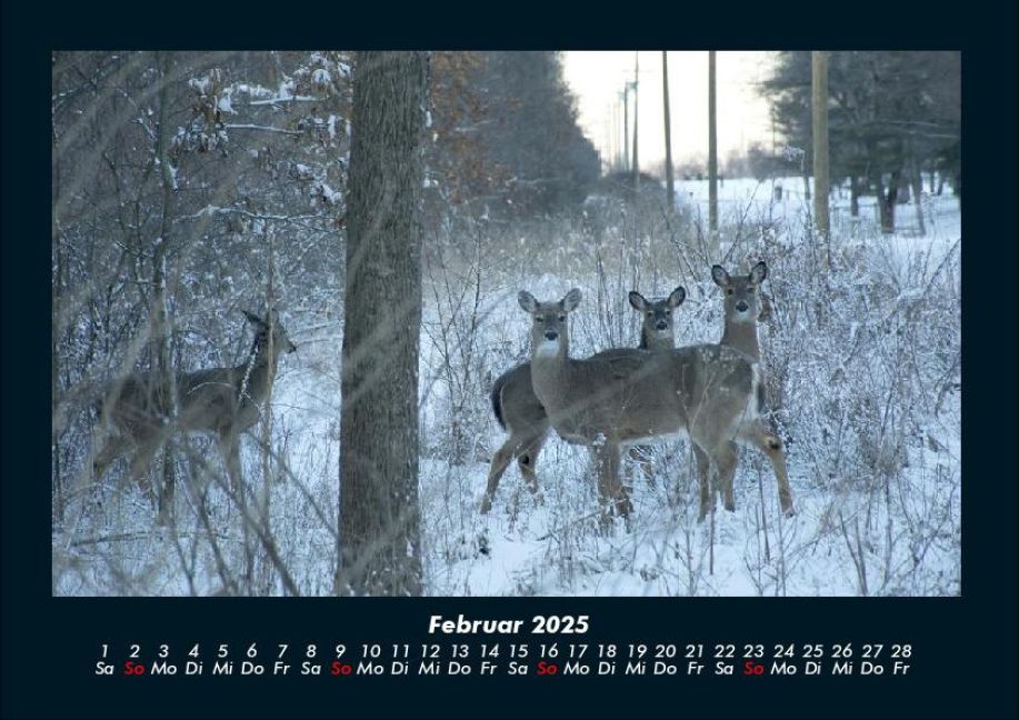 InsideView 6