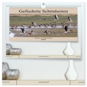 Cover-Bild zum Titel 'Gefiederte Schönheiten - Wildgänse in Norddeutschland (hochwertiger Premium Wandkalender 2026 DIN A2 quer), Kunstdruck in Hochglanz' von 'Rolf Pötsch'