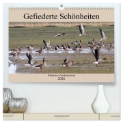 Cover-Bild zum Titel 'Gefiederte Schönheiten - Wildgänse in Norddeutschland (hochwertiger Premium Wandkalender 2026 DIN A2 quer), Kunstdruck in Hochglanz' von 'Rolf Pötsch'